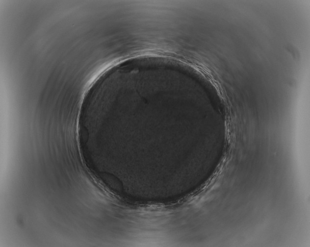 X0000112920196200909211100