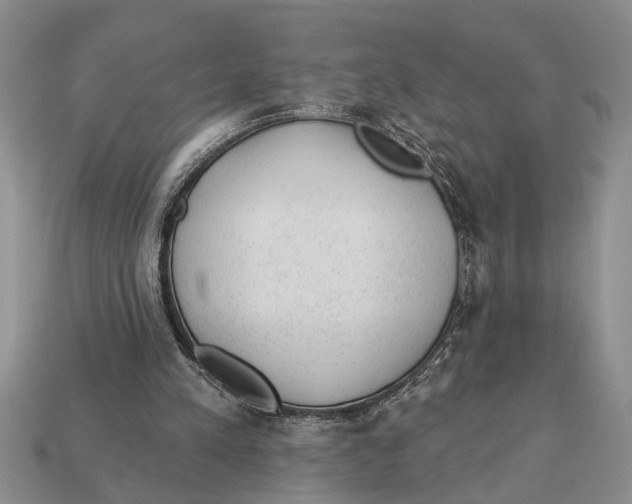 X0000112920197200909211100