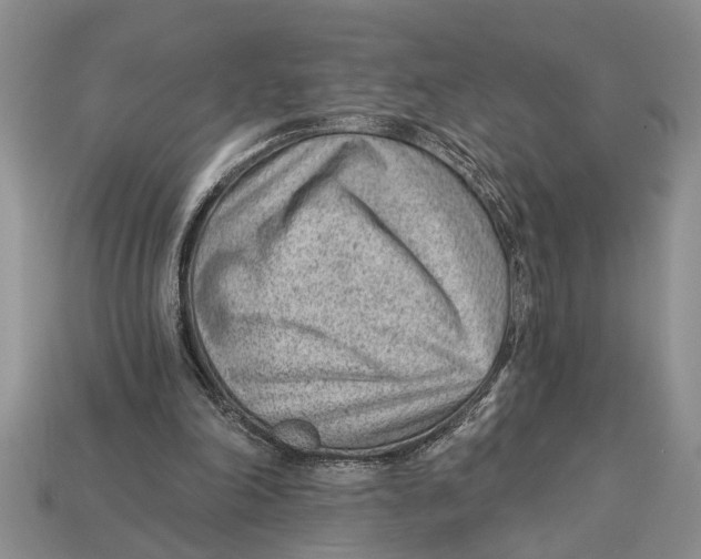 X0000112920198200909211100