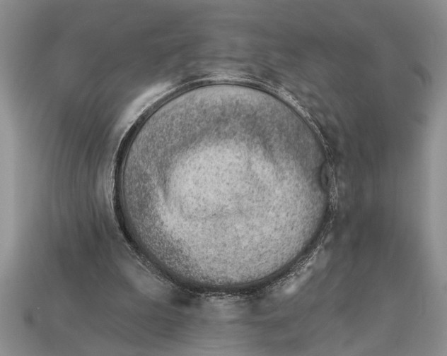 X0000112920199200909211100