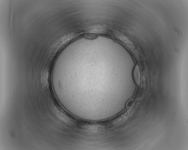 X0000112920201200909211100