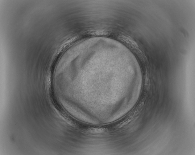 X0000112920202200909211100