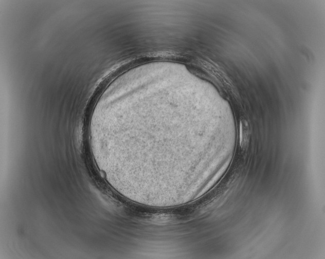 X0000112920204200909211100