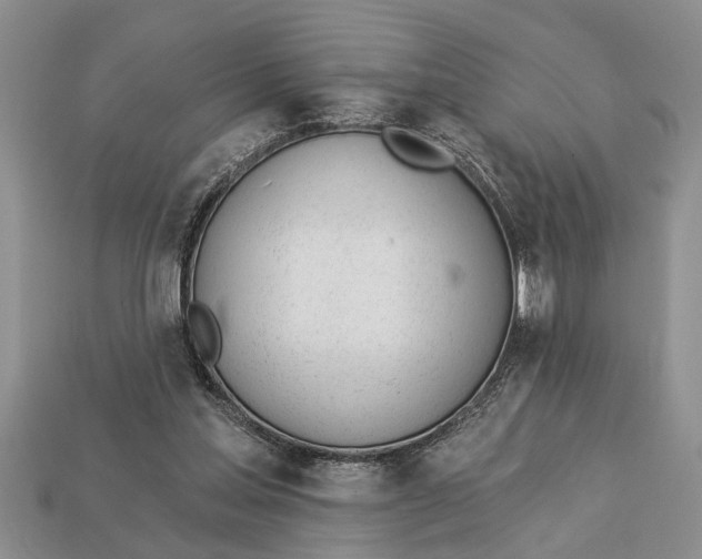 X0000112920205200909211100