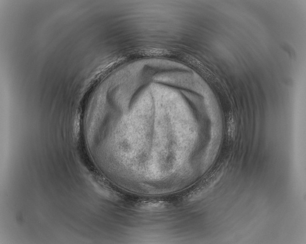 X0000112920206200909211100