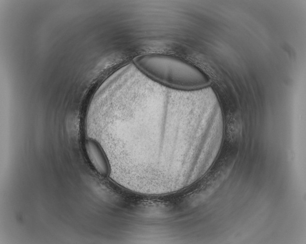 X0000112920207200909211100