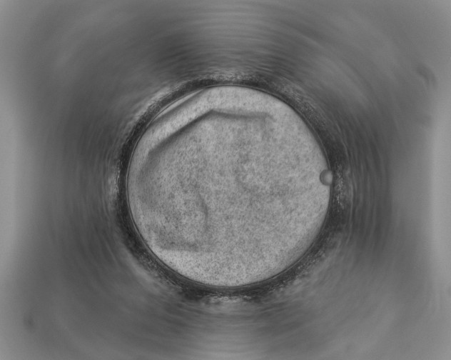 X0000112920208200909211100
