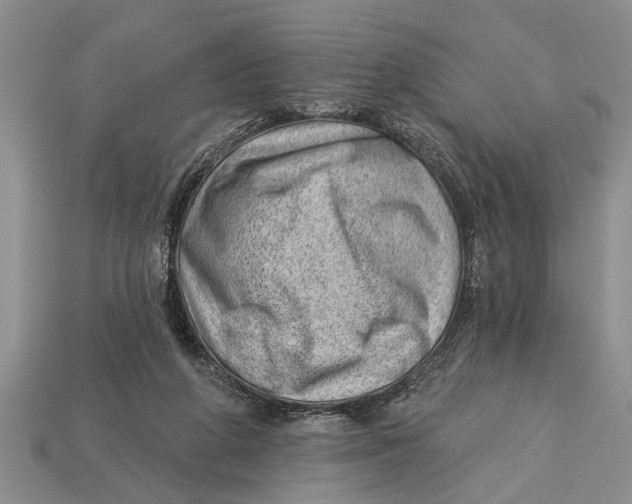 X0000112920210200909211100