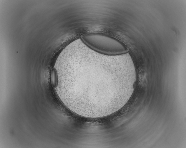 X0000112920211200909211100