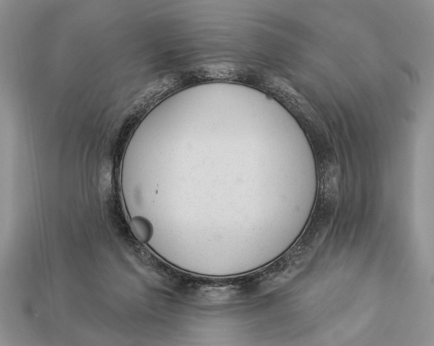 X0000112920213200909211100