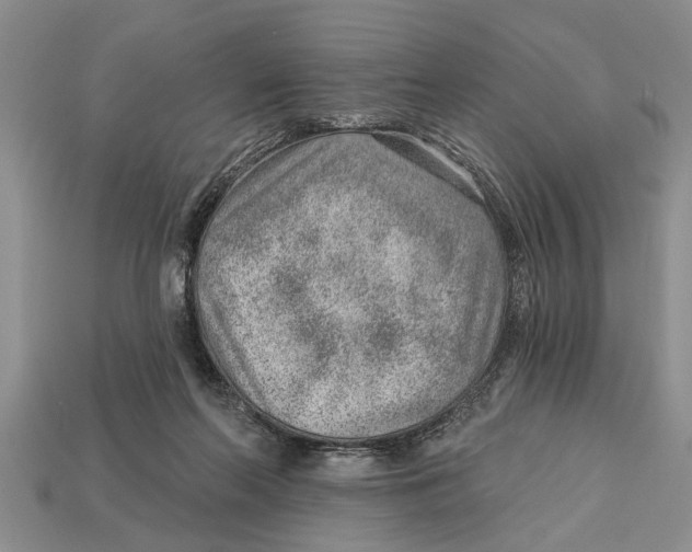 X0000112920214200909211100