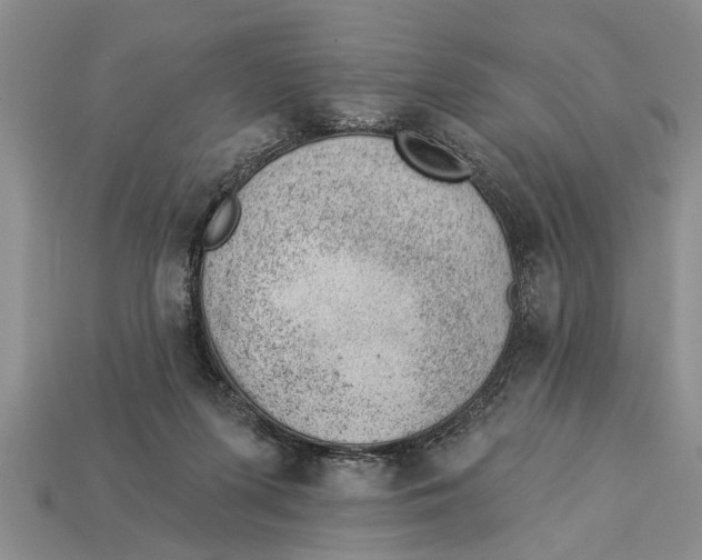X0000112920215200909211100