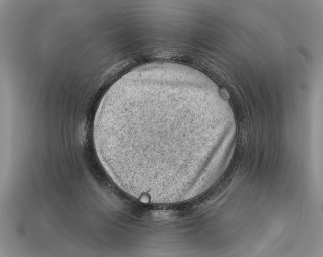 X0000112920216200909211100