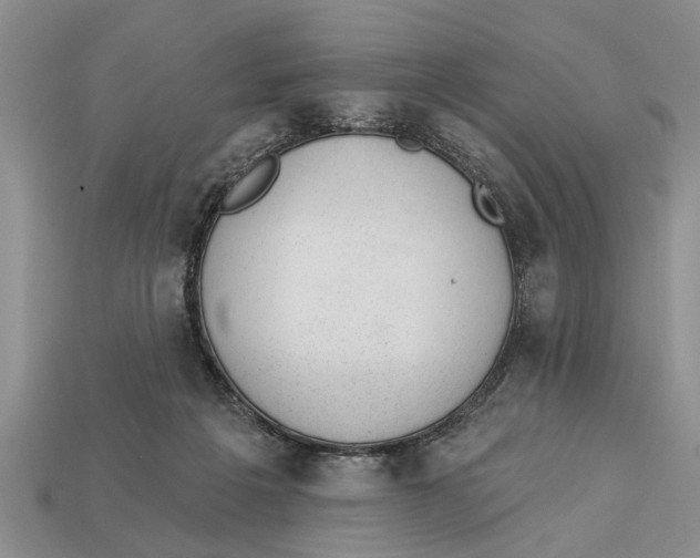 X0000112920217200909211100
