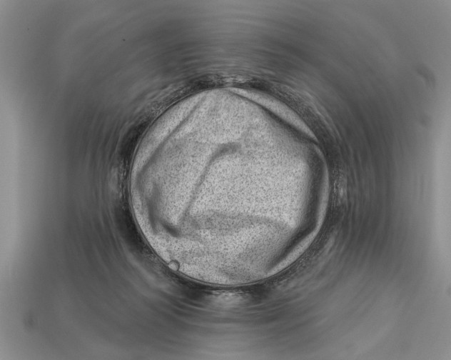X0000112920218200909211100