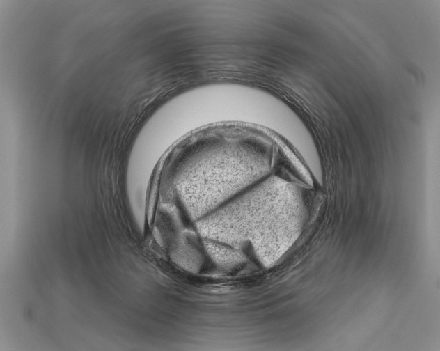 X0000112920219200909211100