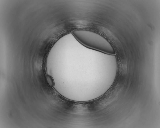 X0000112920221200909211100