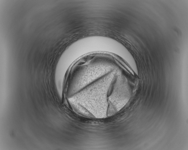 X0000112920223200909211100