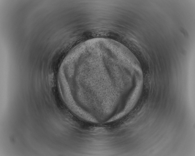 X0000112920224200909211100