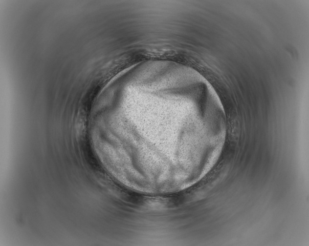 X0000112920226200909211100
