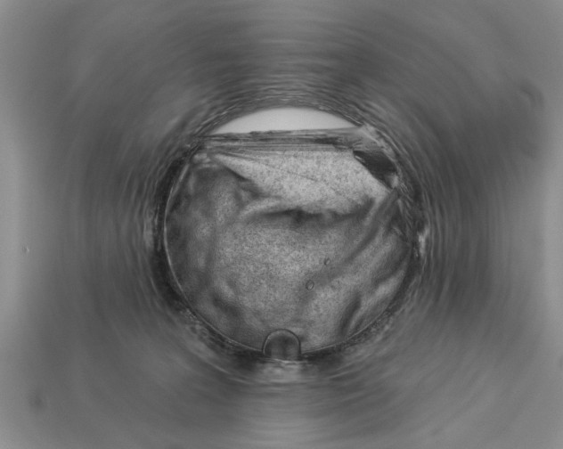 X0000112920227200909211100