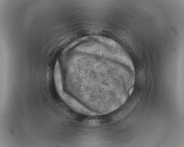 X0000112920228200909211100