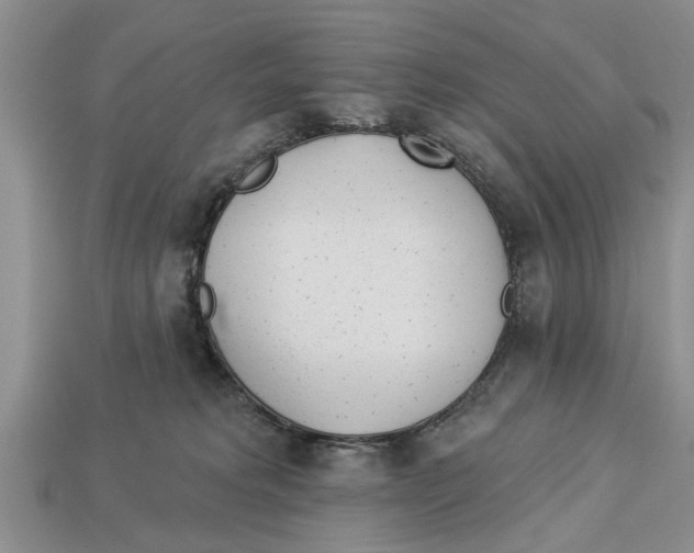 X0000112920229200909211100