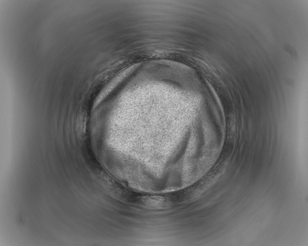 X0000112920230200909211100