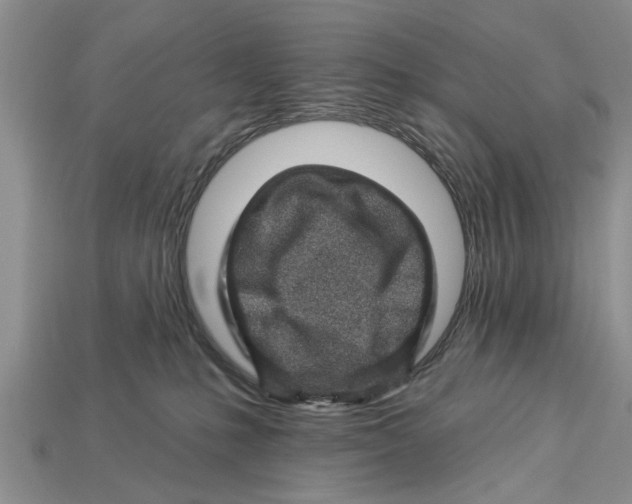 X0000112920231200909211100