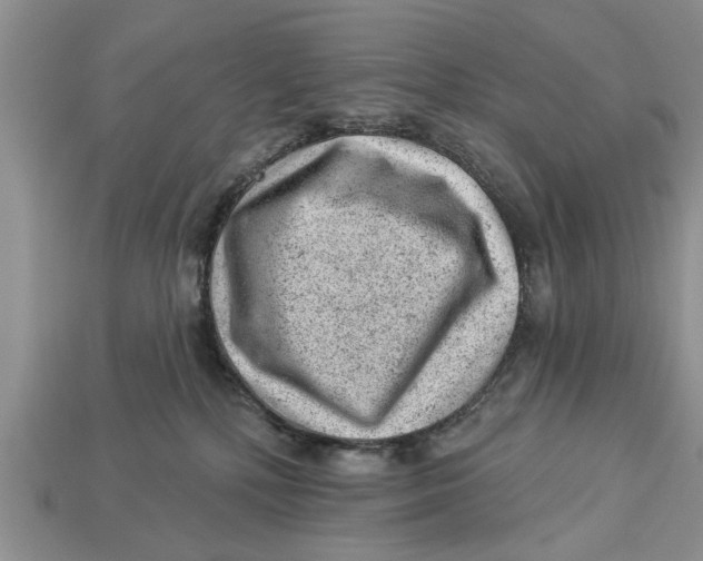 X0000112920232200909211100