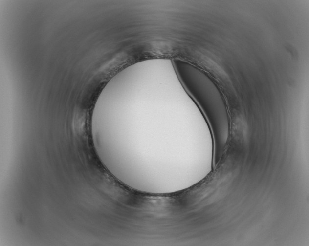 X0000112920233200909211100