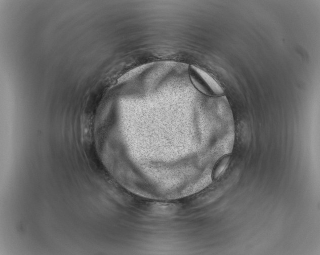 X0000112920234200909211100