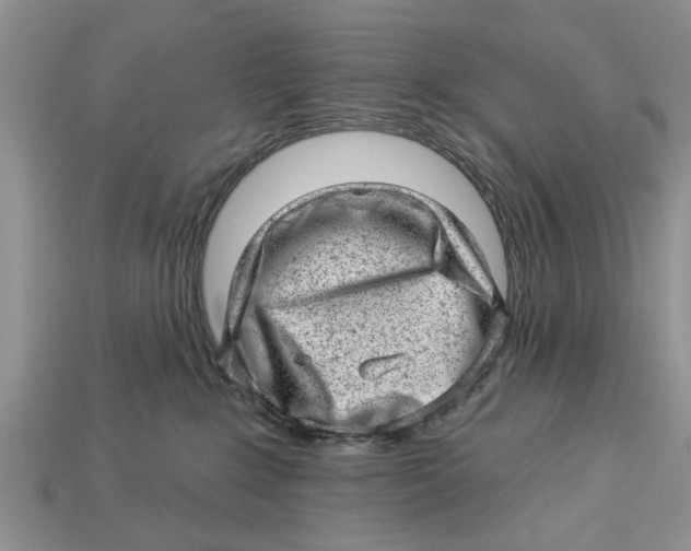 X0000112920235200909211100