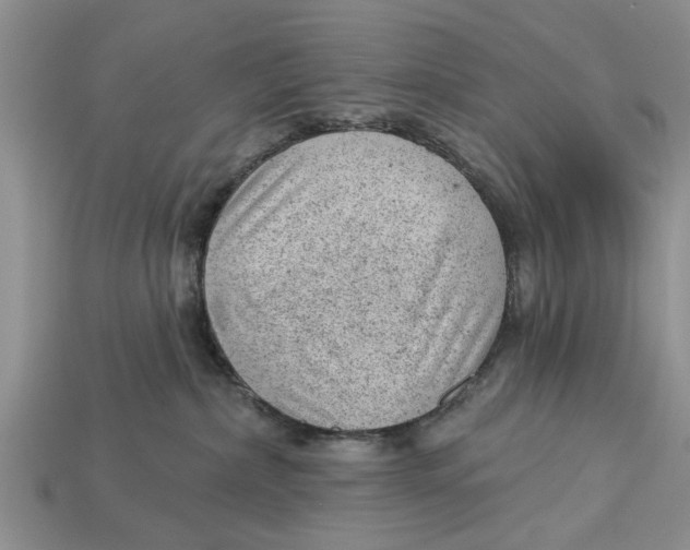 X0000112920236200909211100