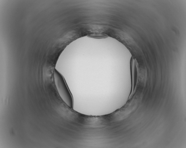 X0000112920237200909211100