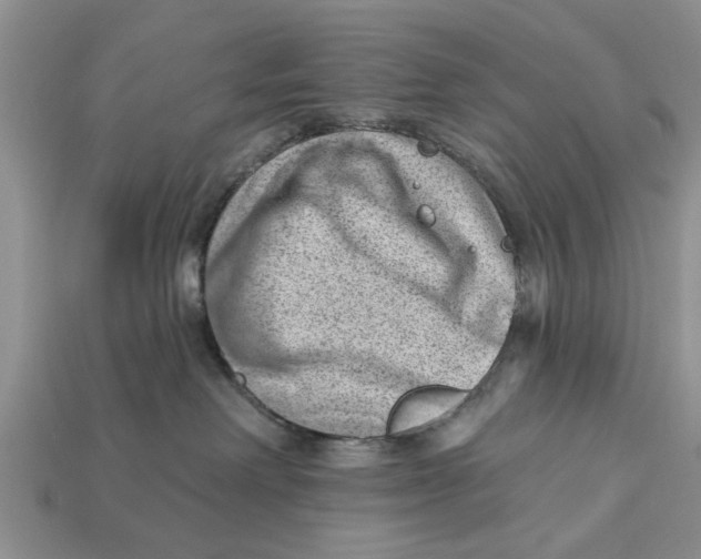 X0000112920238200909211059
