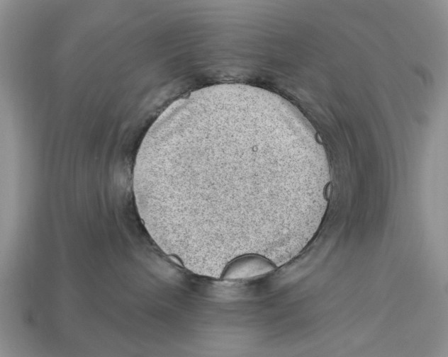 X0000112920240200909211059