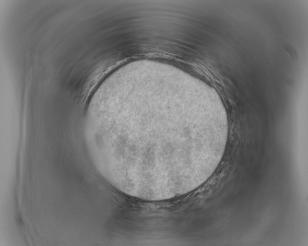 X0000112920241200909211058