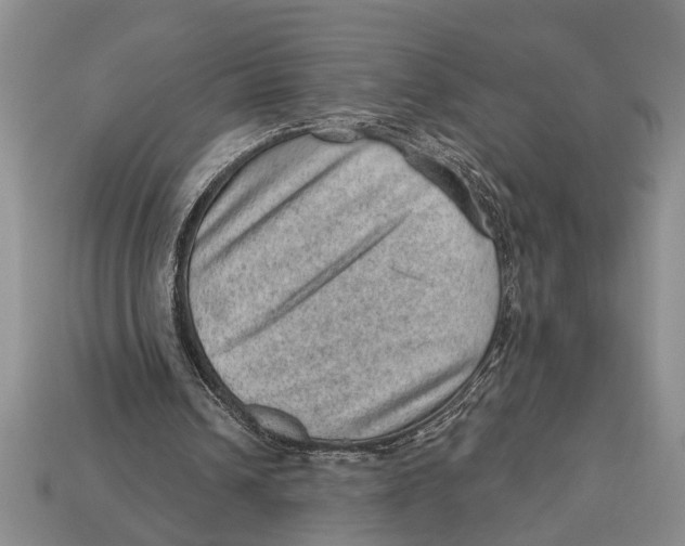 X0000112920242200909211058