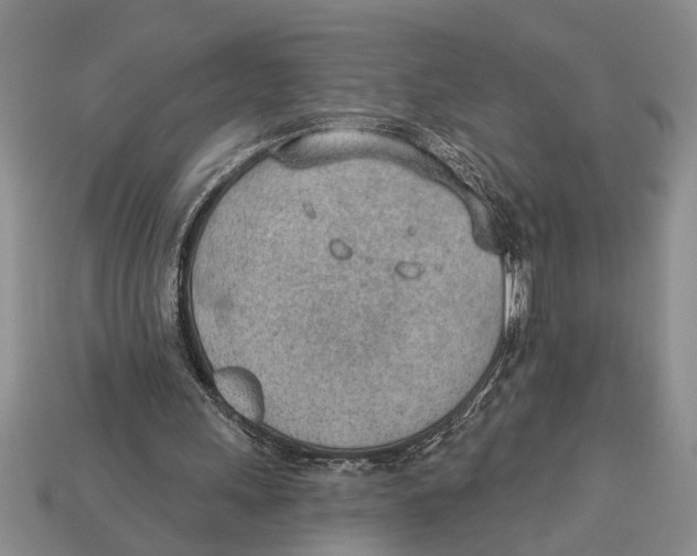 X0000112920243200909211058