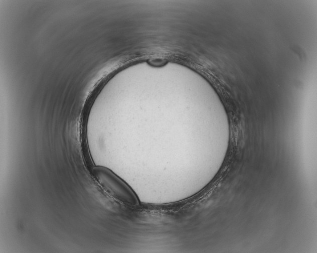X0000112920244200909211059
