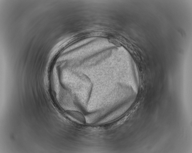 X0000112920245200909211059