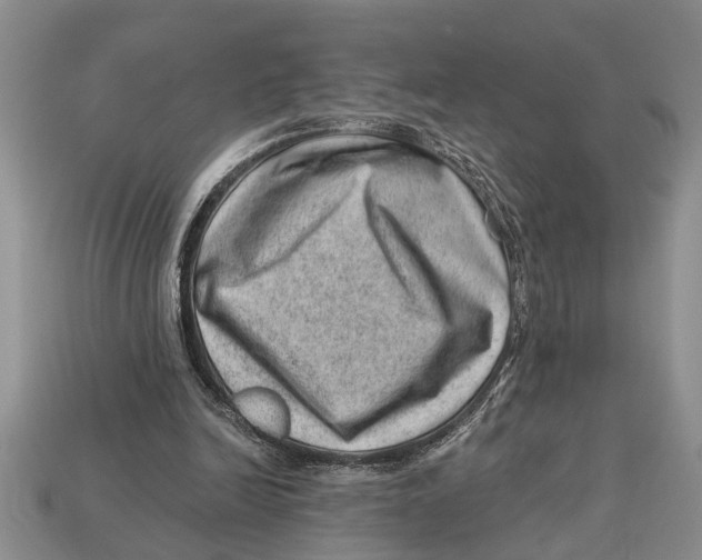 X0000112920246200909211059