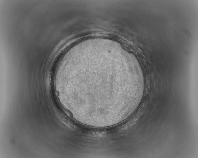 X0000112920247200909211059