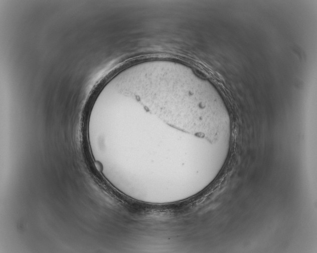 X0000112920248200909211059