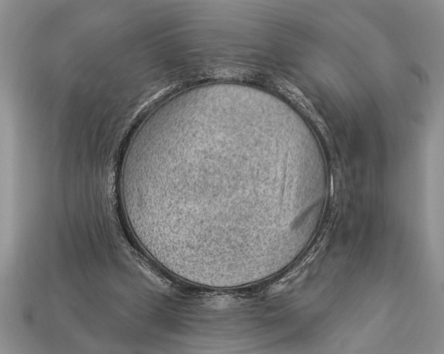 X0000112920249200909211059