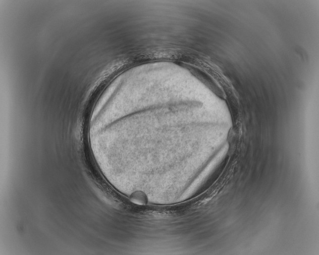 X0000112920250200909211059