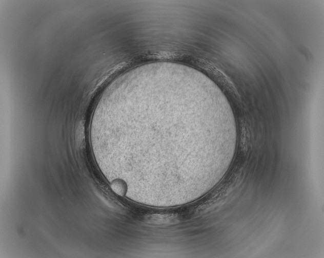 X0000112920251200909211059