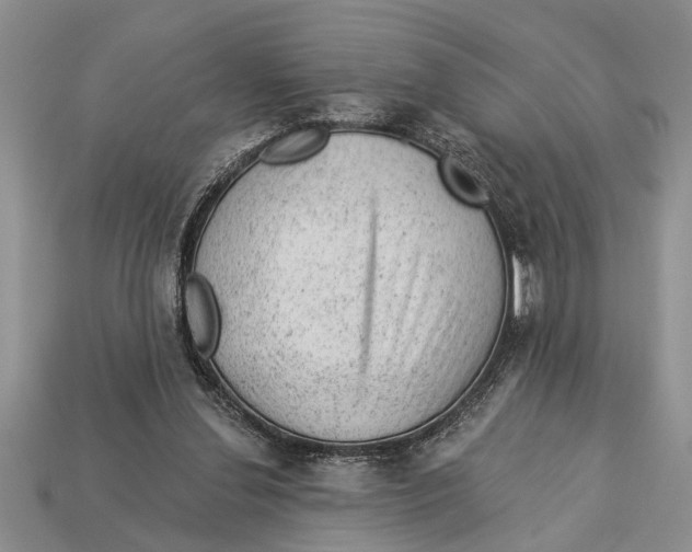 X0000112920252200909211059