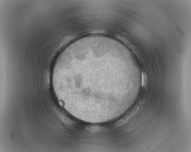 X0000112920253200909211059
